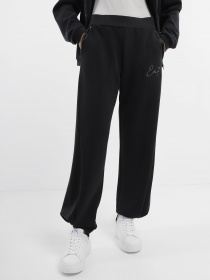 Штаны спортивные EA7 Precious модель 6RTP60-TJDCZ-1200 Фото