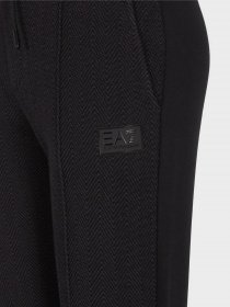 Повседневные штаны EA7 Sporty Forever модель 6RTP92-TJPVZ-0224 Фото