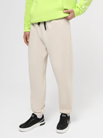 Штаны спортивные EA7 Core модель 3DUP52-PJTKZ-1946 Фото