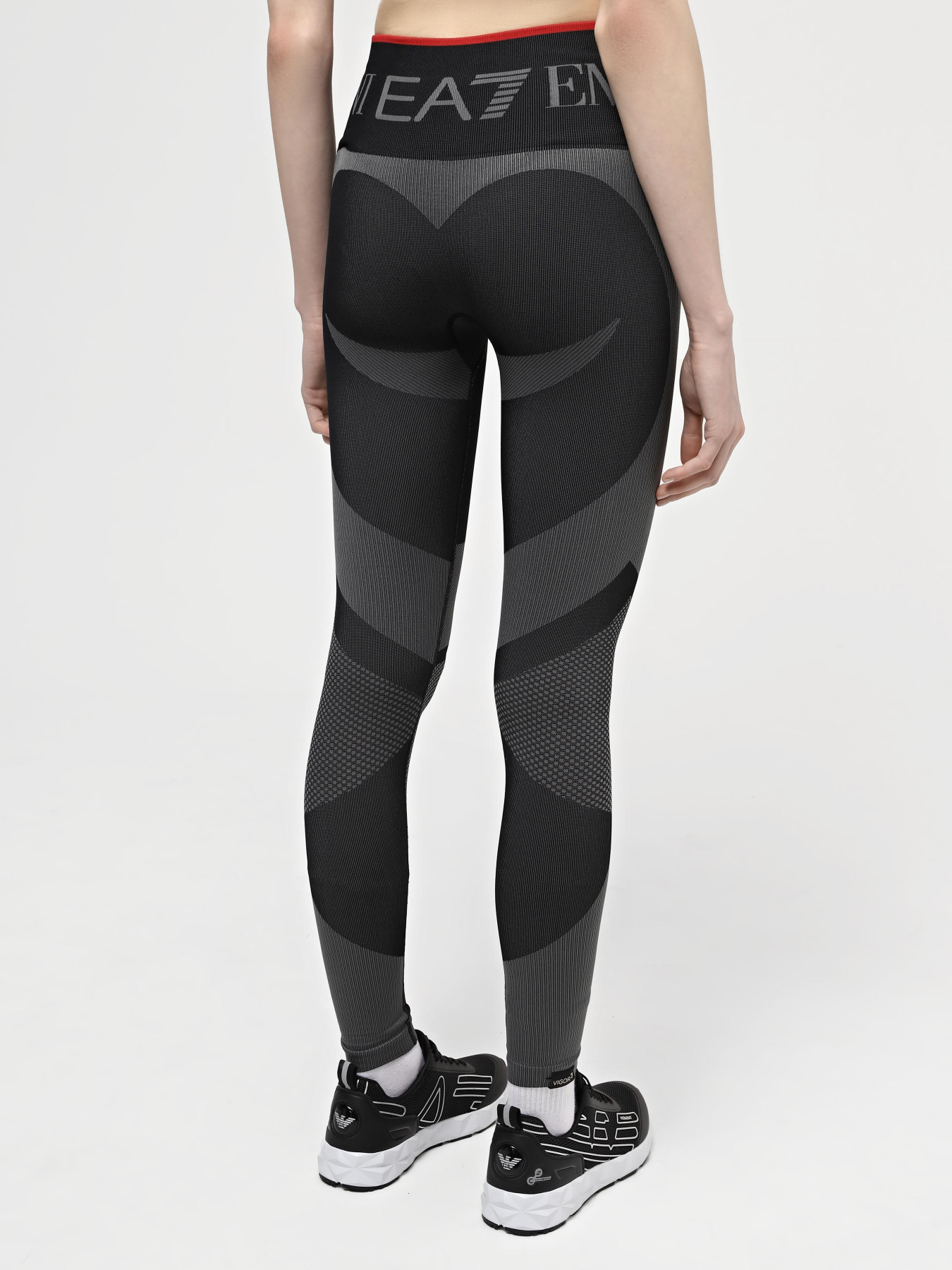 Спортивные леггинсы EA7 Vigor7 модель 3DTP50-TJDGZ-1200 Спортивные леггинсы EA7 Vigor7 модель 3DTP50-TJDGZ-1200 Фото