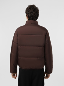 Зимняя куртка EA7 Emporio Armani модель 6DUB02-PNHXZ-1755 Фото