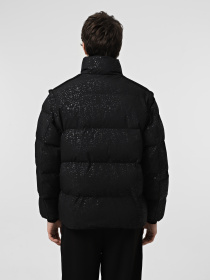 Зимняя куртка EA7 7.0 модель 6DUB37-TNGLZ-1200 Фото