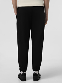 Штаны спортивные EA7 7.0 модель 6DUP02-PJZKZ-1200 Фото