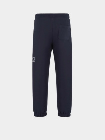 Джоггеры EA7 модель 6DUP56-PJZXZ-1562 Фото