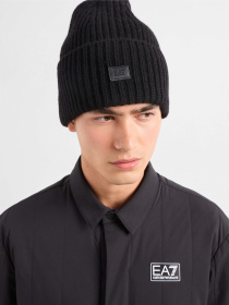 Шапка EA7 модель 245112-4F201-00020 Фото