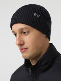 Шапка EA7 модель 7X000312-AF18469-UB102 Фото