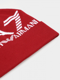 Шапка EA7 модель 274903-1A301-08175 Фото