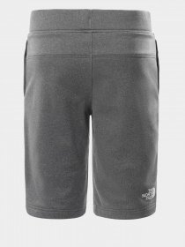 Шорти The North Face Surgent модель NF0A4CABDYY1 Фото