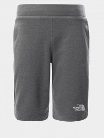 Шорти The North Face Surgent модель NF0A4CABDYY1 Фото