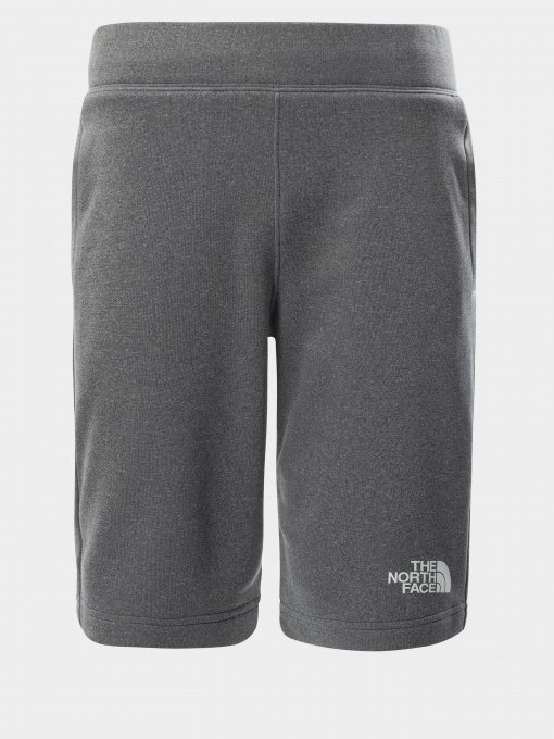 Шорты The North Face Surgent модель NF0A4CABDYY1 Фото