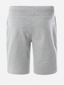 Шорты The North Face Drew Peak Light модель NF0A5595DYX1 Фото