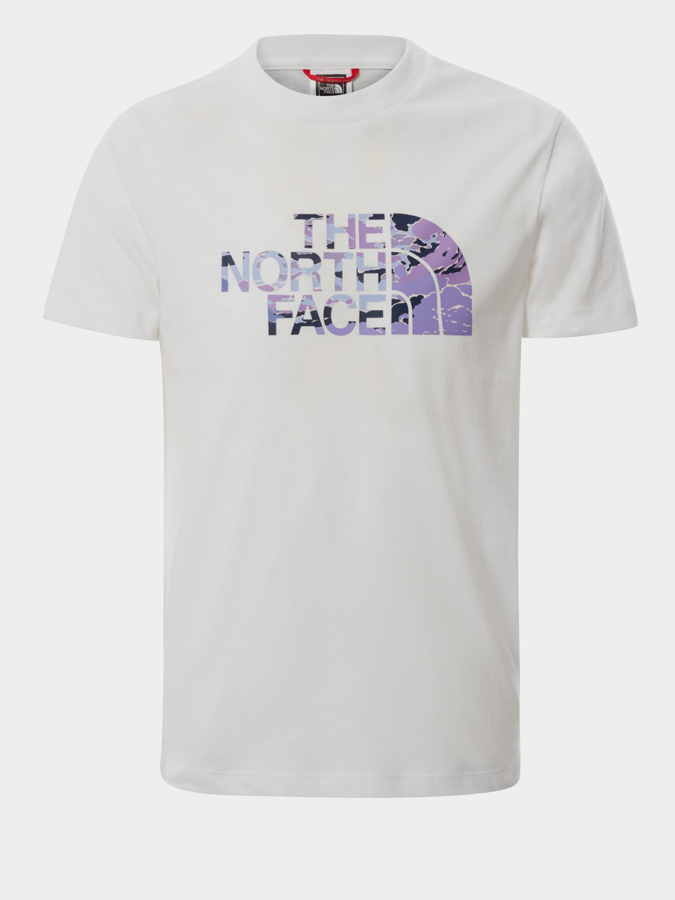 Футболка The North Face EASY модель NF00A3P70AL1 Фото