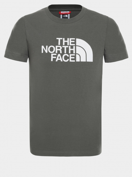 Футболка The North Face EASY модель NF00A3P7KR51 Фото