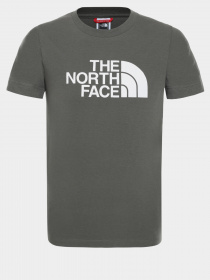 Футболка The North Face EASY модель NF00A3P7KR51 Фото