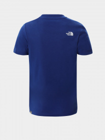 Футболки и поло The North Face Never Stop Exploring модель NF0A3BS2VA61 Фото