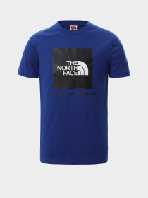 Футболки и поло The North Face Never Stop Exploring модель NF0A3BS2VA61 Фото