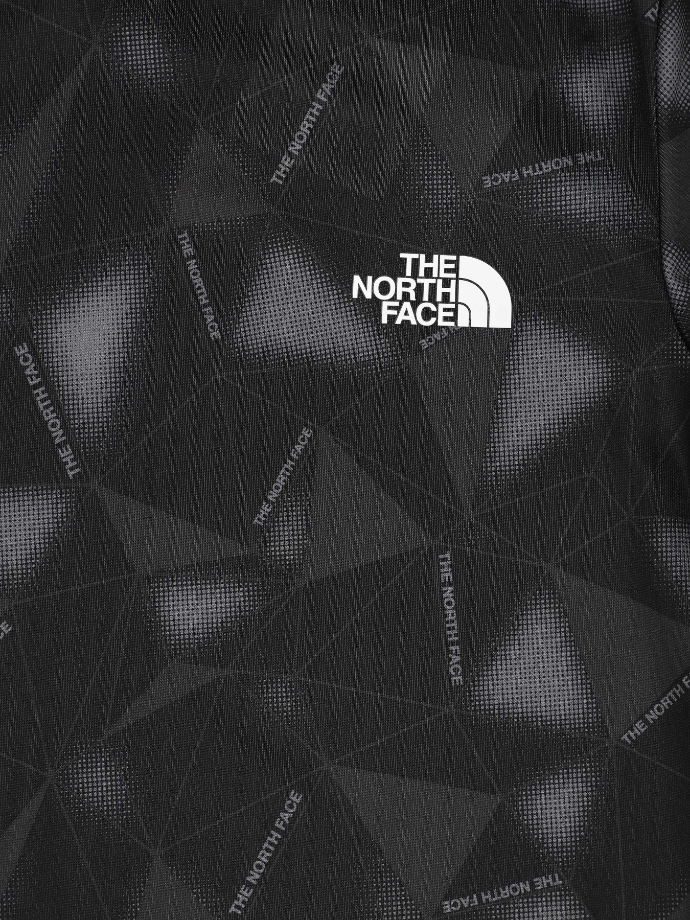 Футболка спортивная The North Face Youth Reactor модель NF0A5A6C0651 Фото