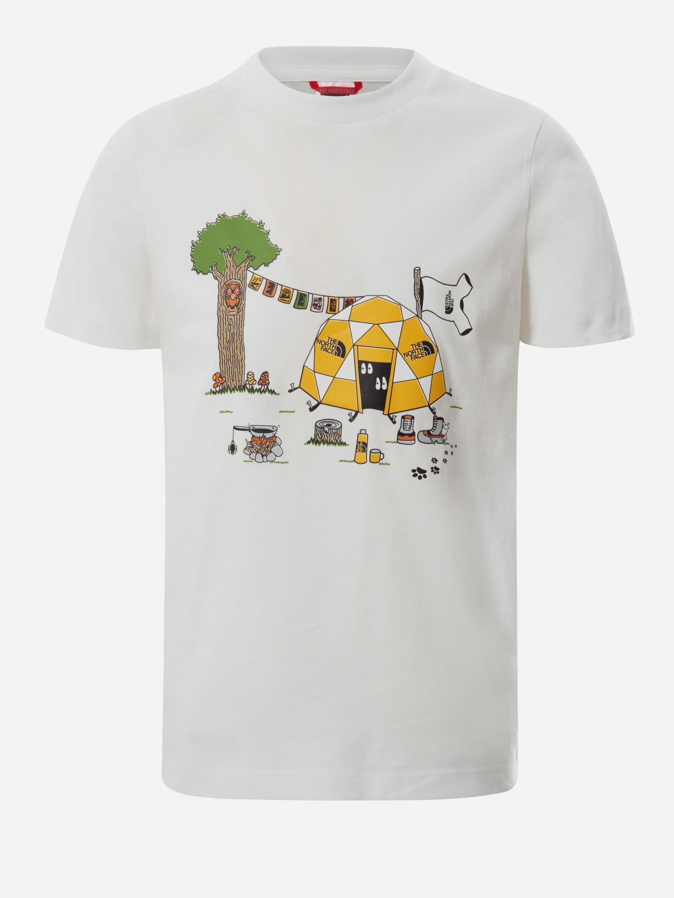 Футболки и поло The North Face Never Stop Exploring модель NF0A55910LY1 Фото