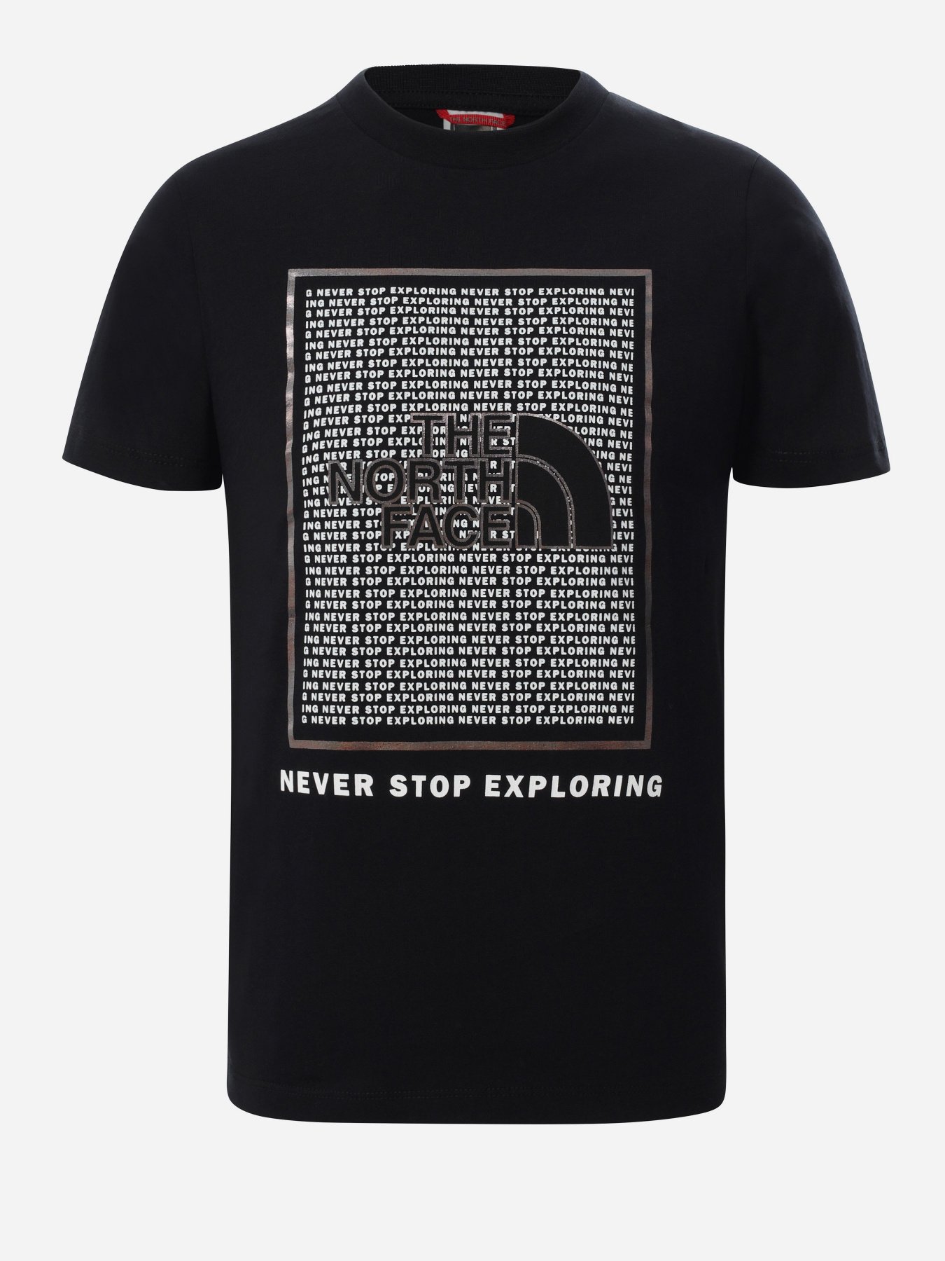 Футболки и поло The North Face Never Stop Exploring модель NF0A5591JK31 Фото