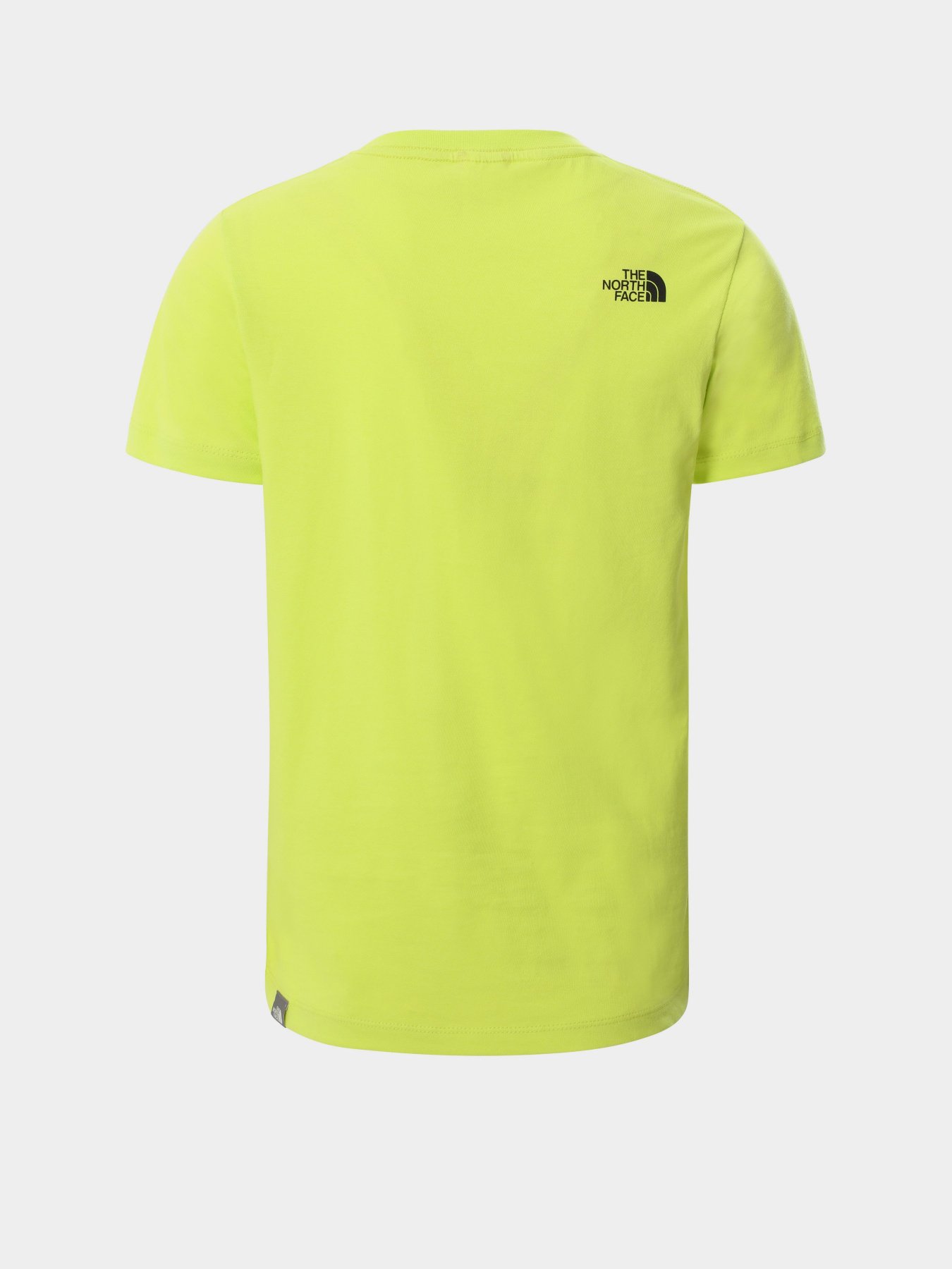 Футболки и поло The North Face Simple Dome модель NF0A2WANJE31 Фото