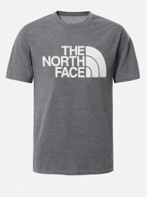 Футболка спортивная The North Face On Mountain модель NF0A55LPDYY1 Фото