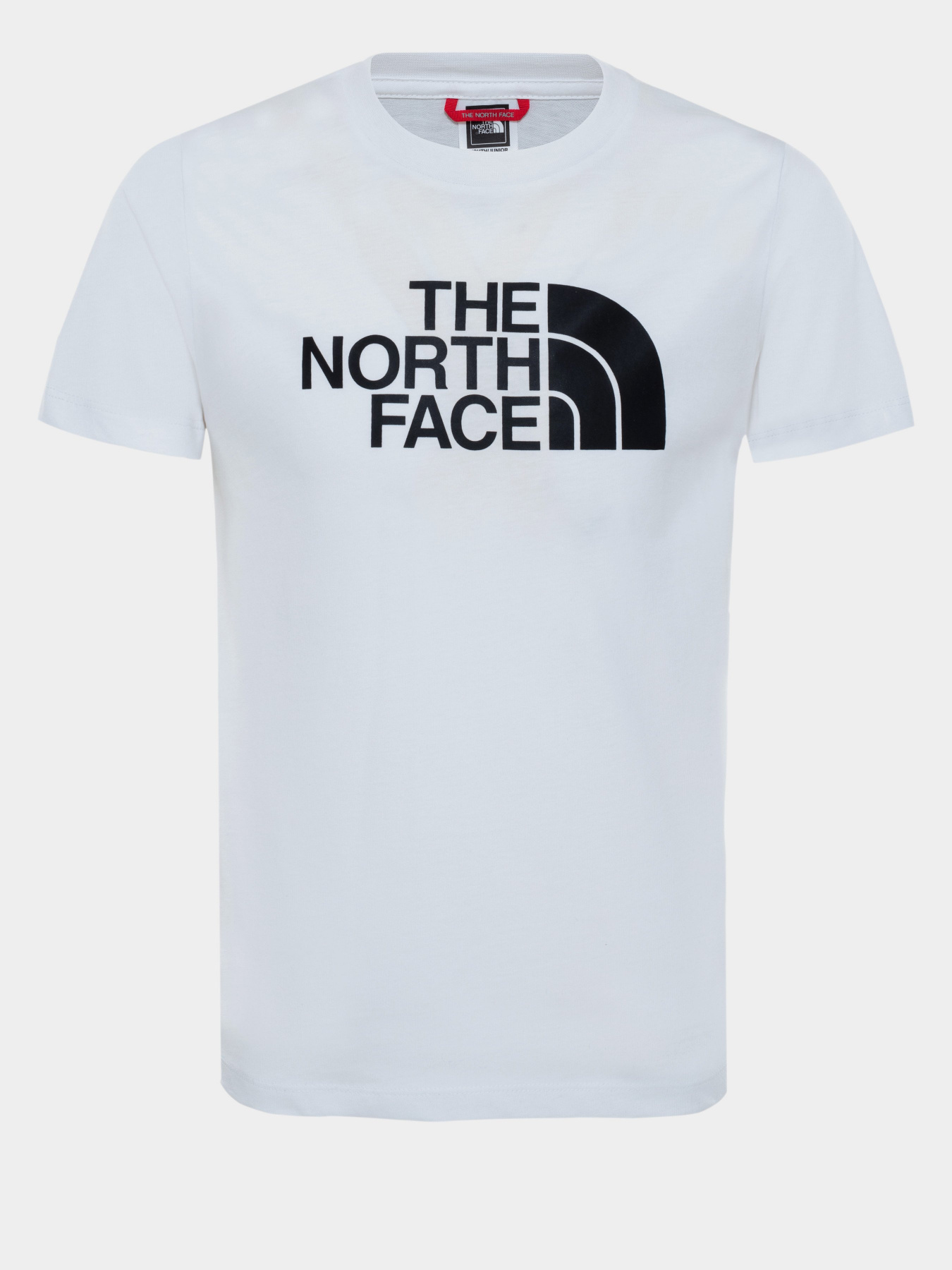 Футболка The North Face EASY модель NF00A3P7LA91 Фото