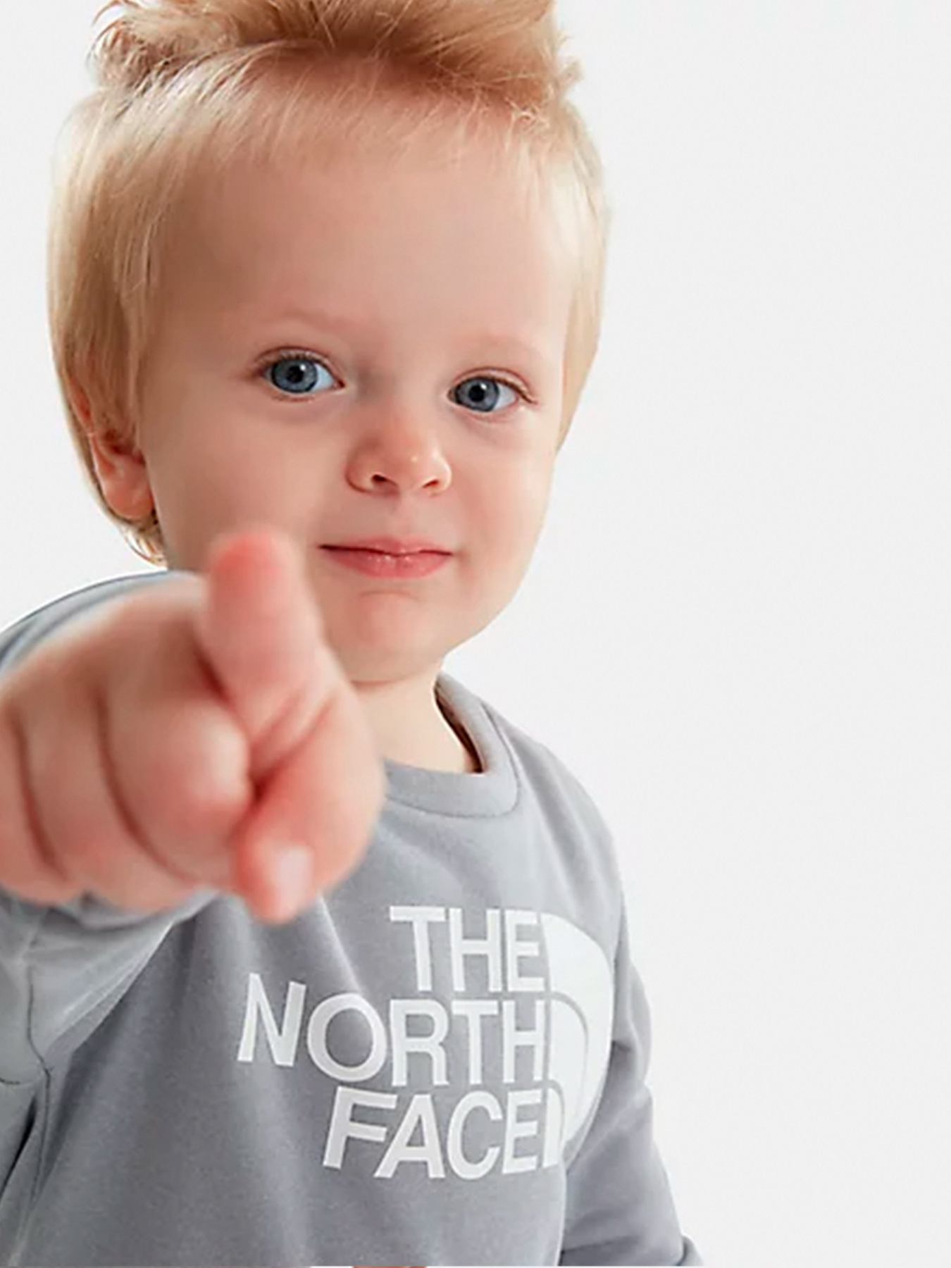 Спортивный костюм The North Face Todd Surgent модель NF0A4CBQDYX1 Фото