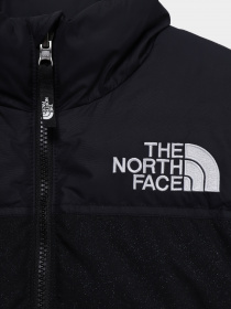 Зимова куртка The North Face 1996 Printed Retro Nuptse модель NF0A5IYCJK31 Фото