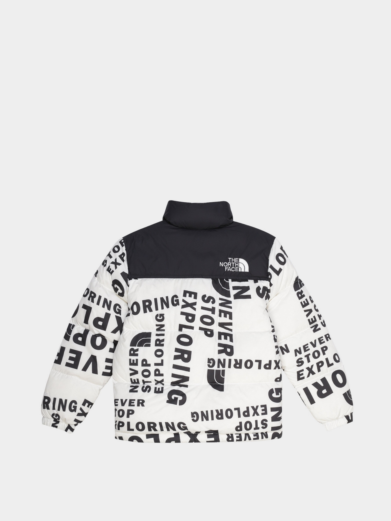 Зимняя куртка The North Face 1996 Printed Retro Nuptse модель NF0A5IYC2B21 Фото