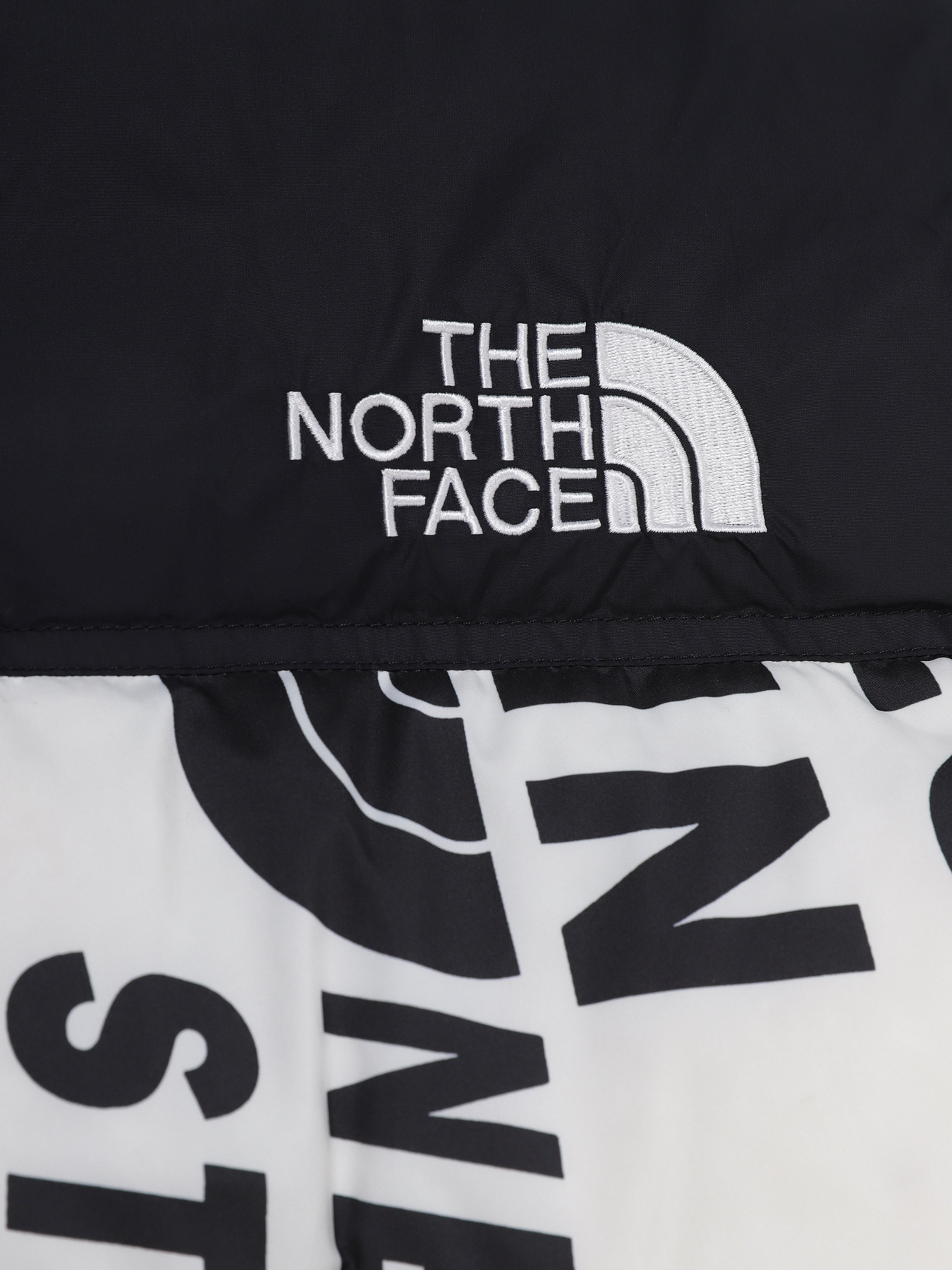 Зимняя куртка The North Face 1996 Printed Retro Nuptse модель NF0A5IYC2B21 Фото