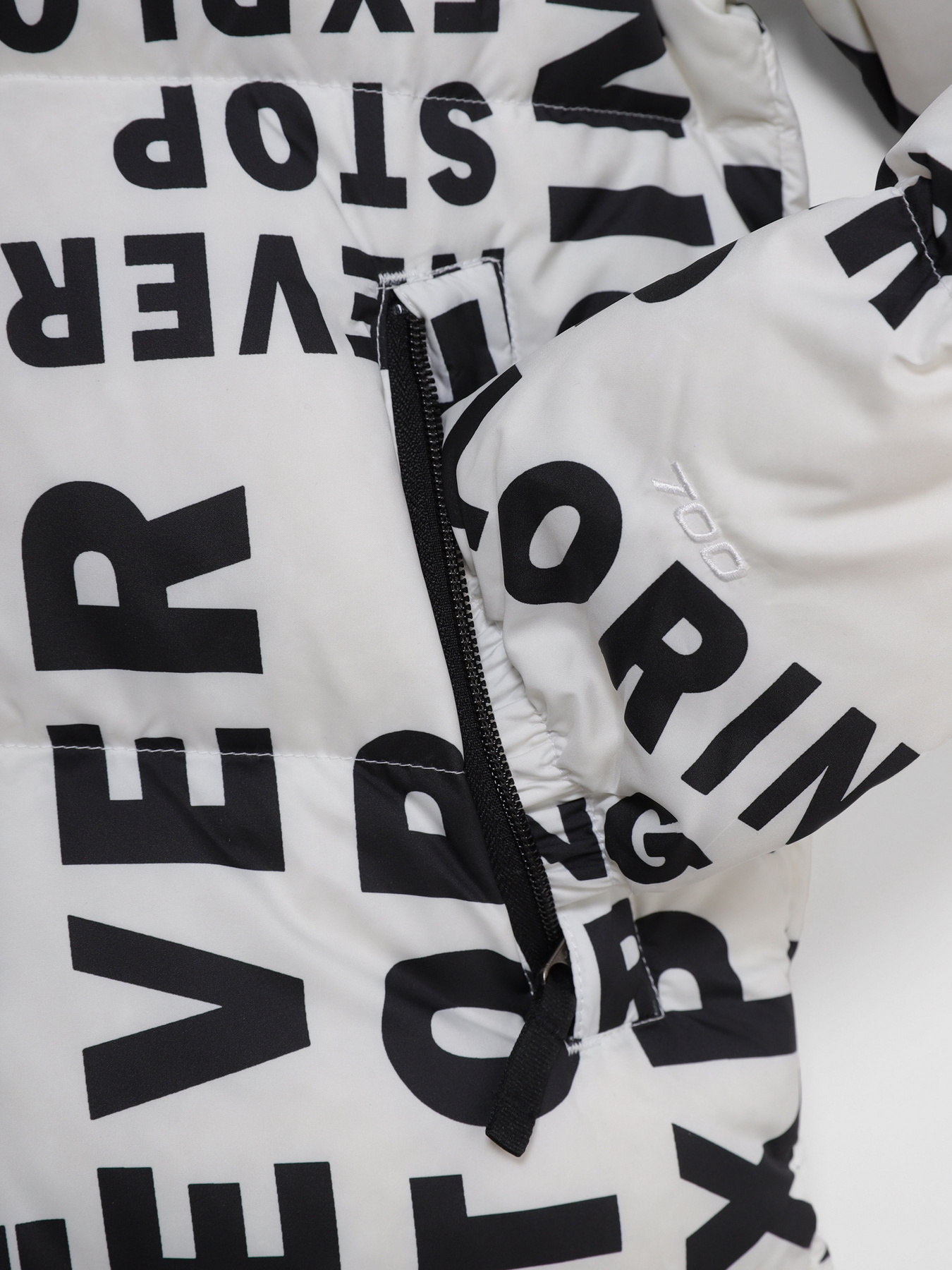 Зимняя куртка The North Face 1996 Printed Retro Nuptse модель NF0A5IYC2B21 Фото