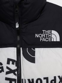 Зимняя куртка The North Face 1996 Printed Retro Nuptse модель NF0A5IYC2B21 Фото