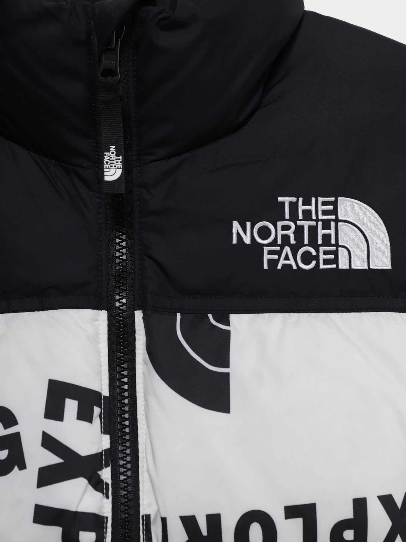 Зимова куртка The North Face 1996 Printed Retro Nuptse модель NF0A5IYC2B21 Фото