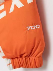 Зимова куртка The North Face Printed 1996 Retro Nuptse модель NF0A5IYC2B31 Фото