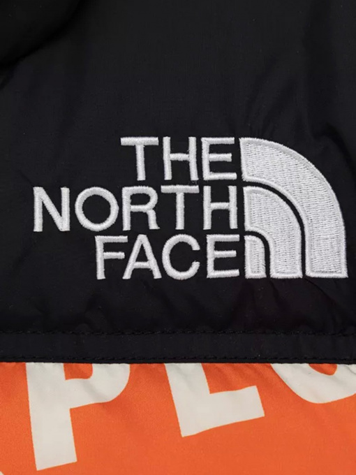 Куртки и дубленки The North Face Printed 1996 Retro Nuptse модель NF0A5IYC2B31 Фото