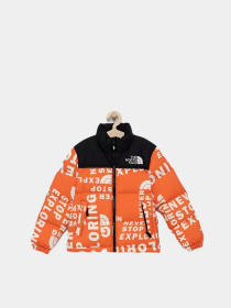 Зимняя куртка The North Face Printed 1996 Retro Nuptse модель NF0A5IYC2B31 Зимняя куртка The North Face Printed 1996 Retro Nuptse модель NF0A5IYC2B31 Фото