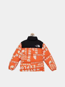 Зимняя куртка The North Face Printed 1996 Retro Nuptse модель NF0A5IYC2B31 Зимняя куртка The North Face Printed 1996 Retro Nuptse модель NF0A5IYC2B31 Фото