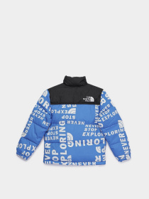 Зимняя куртка The North Face Printed 1996 Retro Nuptse модель NF0A5IYC2B41 Фото