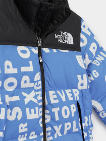 Зимняя куртка The North Face Printed 1996 Retro Nuptse модель NF0A5IYC2B41 Фото
