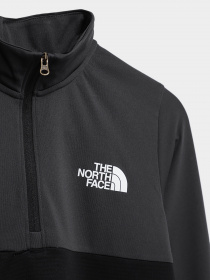 Кофта The North Face Reactor Thermal ¼ Zip модель NF0A5GCN0C51 Фото