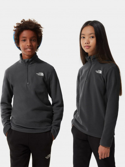 Кофта The North Face Glacier 1/4 Zip модель NF0A2RTN0C51 — фото - INTERTOP