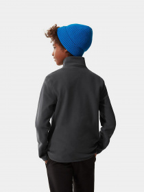 Кофта The North Face Glacier 1/4 Zip модель NF0A2RTN0C51 Фото