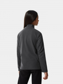 Кофта The North Face Glacier 1/4 Zip модель NF0A2RTN0C51 Фото