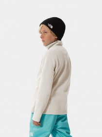 Кофта The North Face Glacier 1/4 Zip модель NF0A2RTNN3N1 Фото