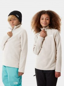 Кофта The North Face Glacier 1/4 Zip модель NF0A2RTNN3N1 Фото