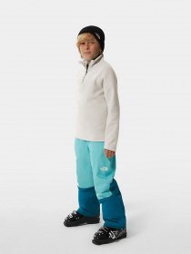 Кофта The North Face Glacier 1/4 Zip модель NF0A2RTNN3N1 Фото