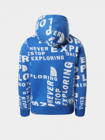 Худі The North Face Drew Peak P/O модель NF0A33H4T4S1 Фото