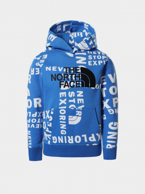 Худи The North Face Drew Peak P/O модель NF0A33H4T4S1 Фото