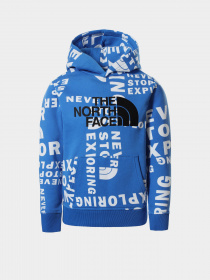 Худи The North Face Drew Peak P/O модель NF0A33H4T4S1 Фото