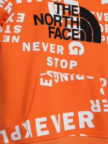 Худі The North Face Drew Peak P/O модель NF0A33H42B31 Фото